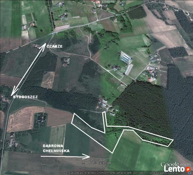 Czemlewo - zielony azyl k . BYDGOSZCZY.