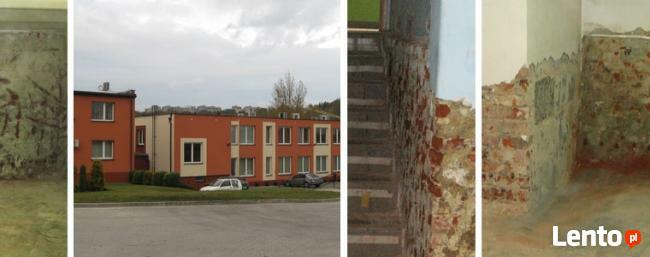 OSUSZANIE ODGRZYBIANIE OZONOWANIE IZOLACJE BUDYNKÓW DRENAŻ