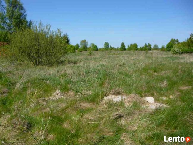 Działki sprzedaż Osieki