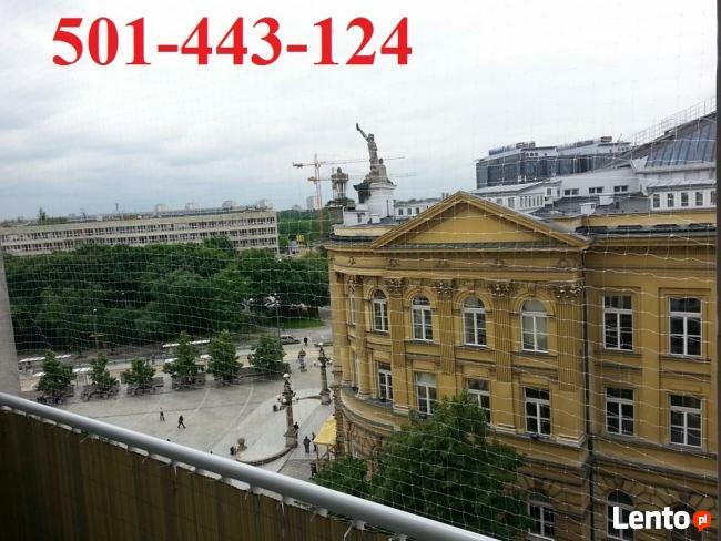 Siatka dla kota.Na balkon, okno, loggie. Montaż