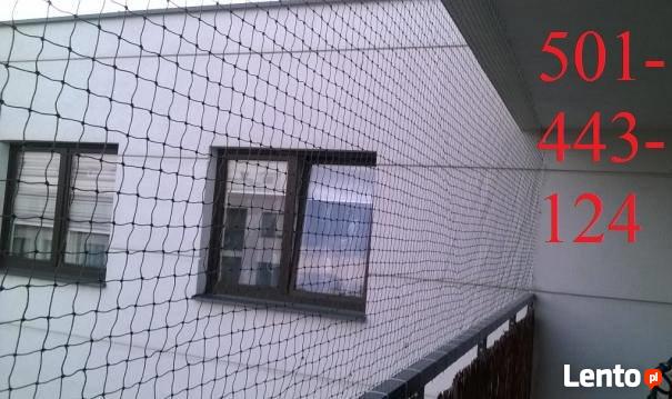 Siatka dla kota.Na balkon, okno, loggie. Montaż