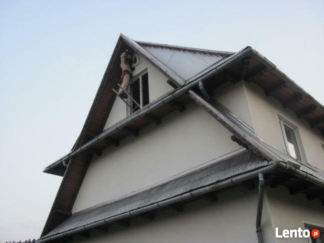 Likwidacja, usuwanie gniazd os, pszczół i szerszeni