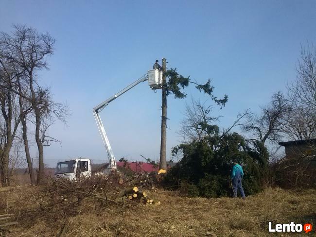 Usługi podnośnikem koszowym 12 metrów
