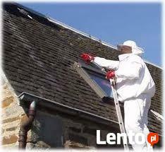 Likwidacja, usuwanie gniazd os, pszczół i szerszeni