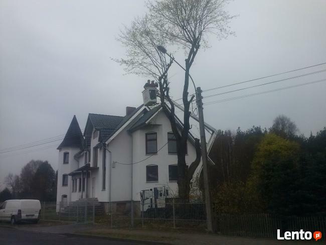 Usługi podnośnikem koszowym 12 metrów