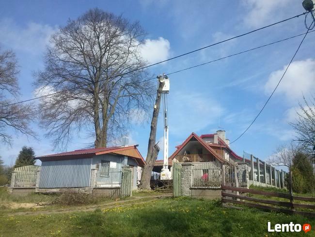 Usługi podnośnikem koszowym 12 metrów