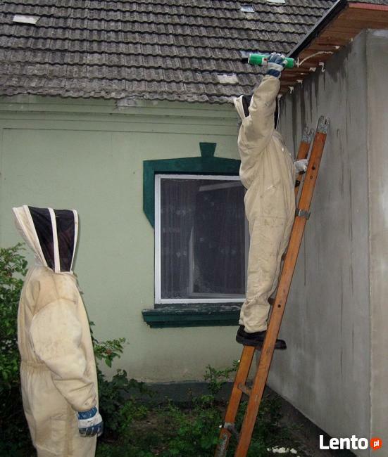 Likwidacja, usuwanie gniazd os, pszczół i szerszeni