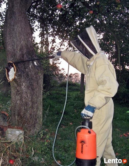 Likwidacja, usuwanie gniazd os, pszczół i szerszeni
