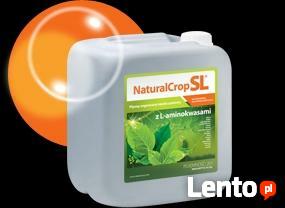 Eko nawozy Bioilsa; 25 kg, azot 12,5%. węgiel 40%