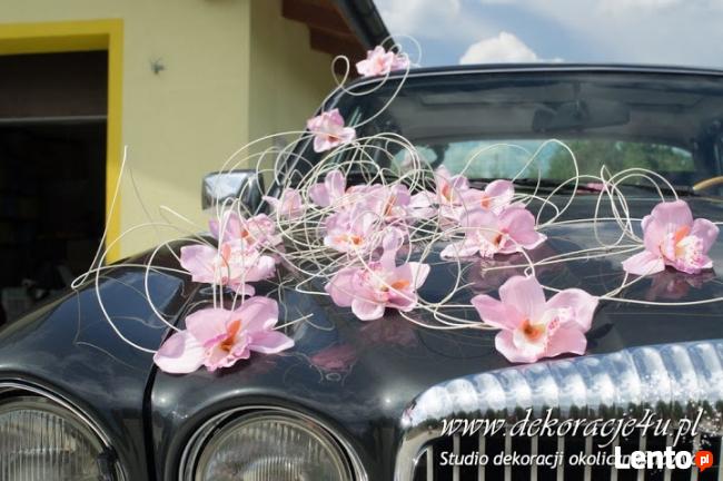Dekoracje samochodów do ślubu w Rzeszowie, Łańcucie i
