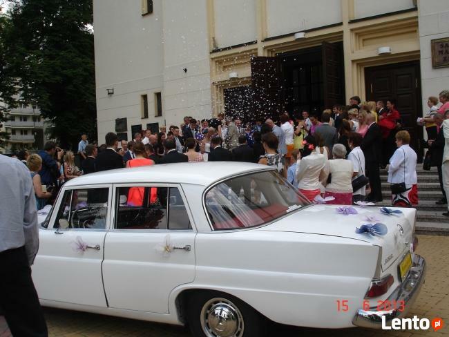 Białą Perła do ślubu-zabytkowy mercedes