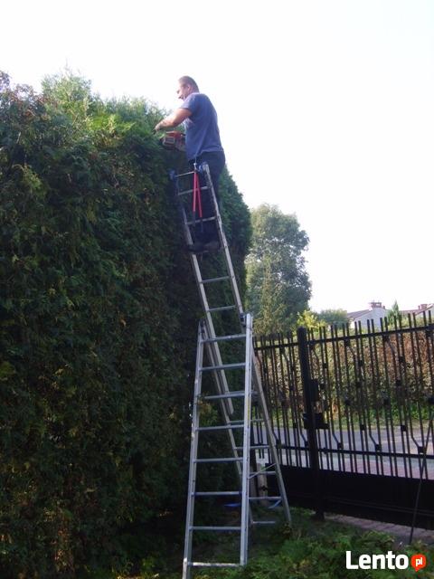 Przycinanie żywopłotów, sadzenie drzew i krzewów