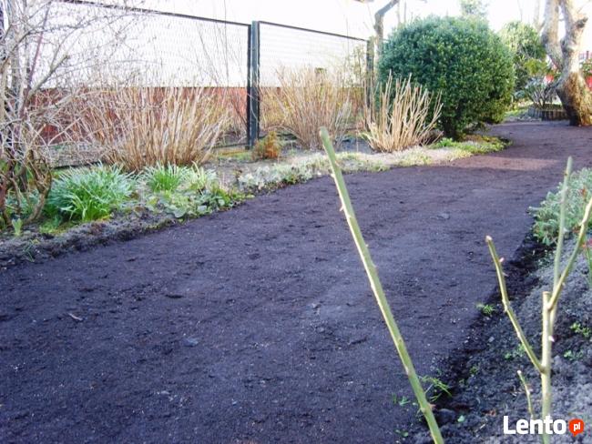 Koszenie trawników, pielęgnacja trawników