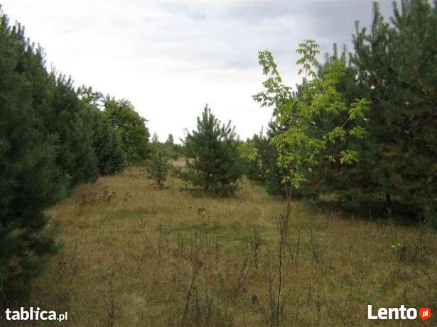 50 KM OD ŁODZI 3500 M2