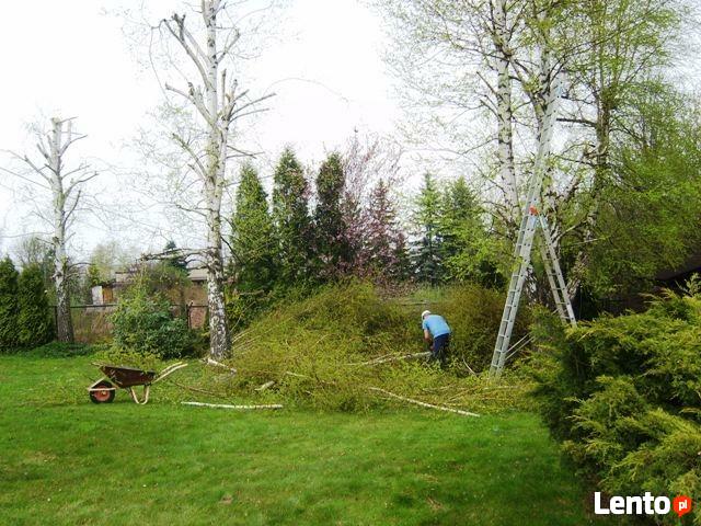 Wycinka drzew, ścinka, usuwanie, przycinanie drzew i krzewów