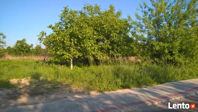 Sprzedam atrakcyjne działki w Pogwizdów Nowy Na raty!