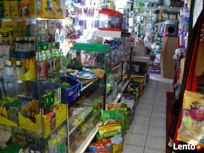 Sklep Zoologiczny VIDEOZOO Augustów rabat -10% na wszystko!