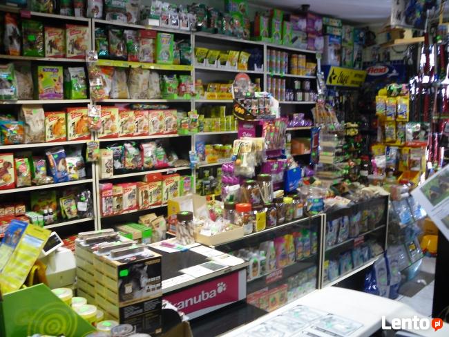 Sklep Zoologiczny VIDEOZOO Augustów rabat -10% na wszystko!