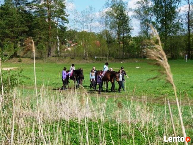 Wolontariusz w Podlaskim Centrum Hipoterapii