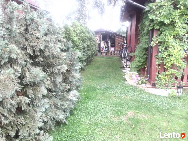 wynajmę domek letniskowy nad jeziorem dominickim