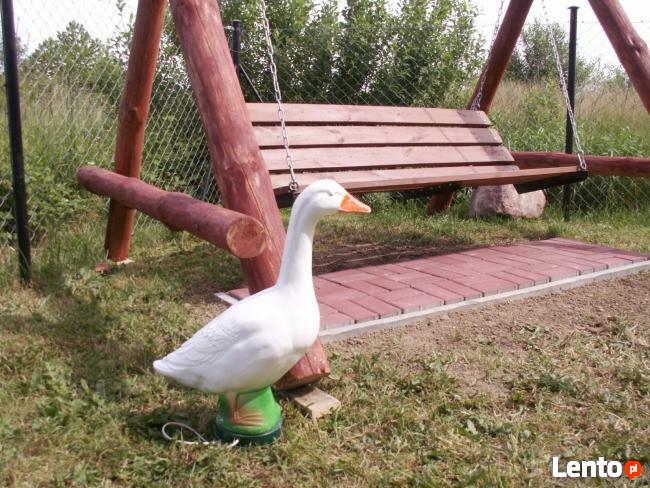 Albatros-pokoje gościnne