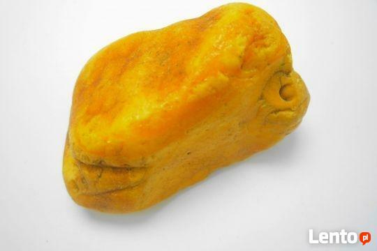 SKUP KORALI SKUP BURSZTYNU WARSZAWA OCHOTA