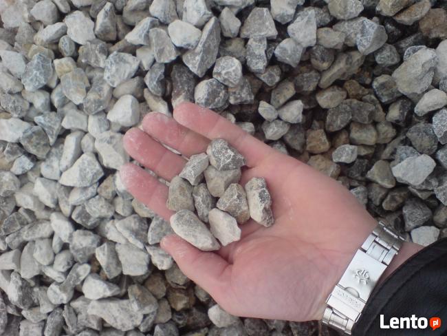 ZIEMIA RADOM CZARNOZIEM, Torf Kwaśny Borówka Amerykańska