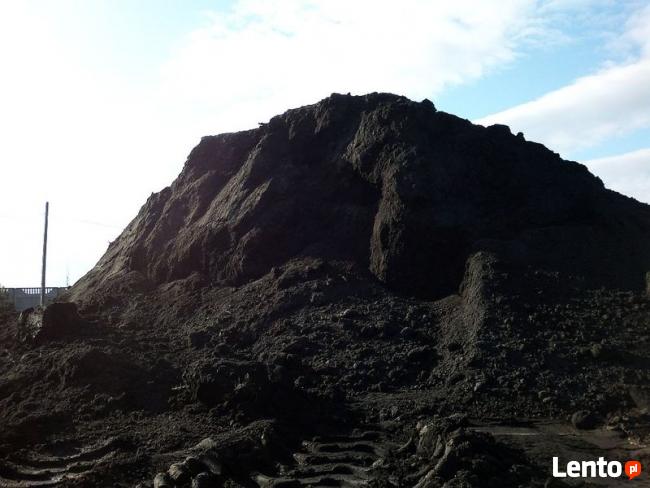 ZIEMIA RADOM CZARNOZIEM, Torf Kwaśny Borówka Amerykańska