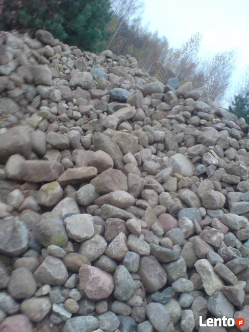 ZIEMIA RADOM CZARNOZIEM, Torf Kwaśny Borówka Amerykańska