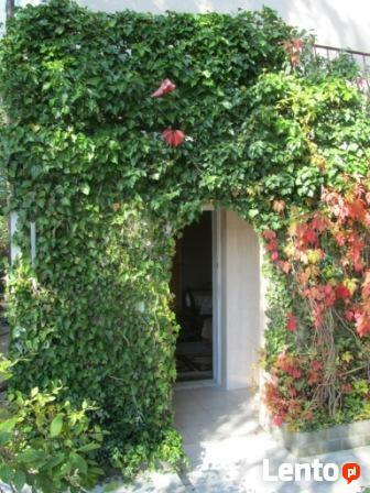 Władysławowo pokój z aneksem dla 4-5 osób blisko plaży.