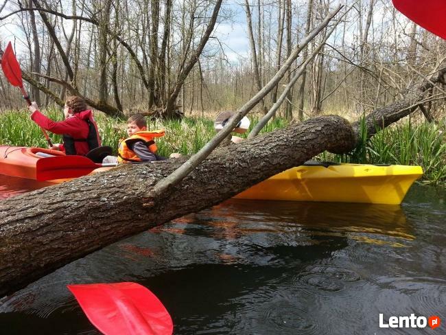 spływy kajakowe Lubuskie