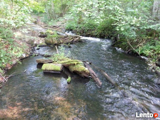 spływy kajakowe Lubuskie