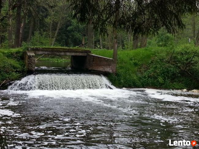 spływy kajakowe Lubuskie
