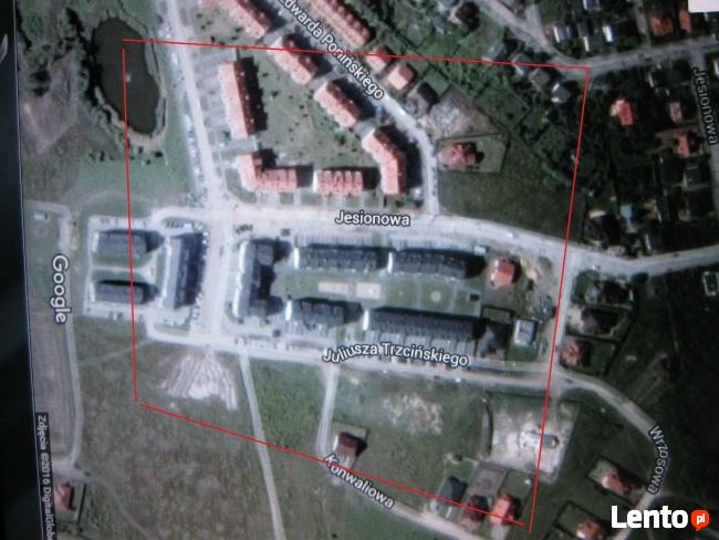 lokalizacja zagubionych/skradzionych zwierząt-wahadło radies