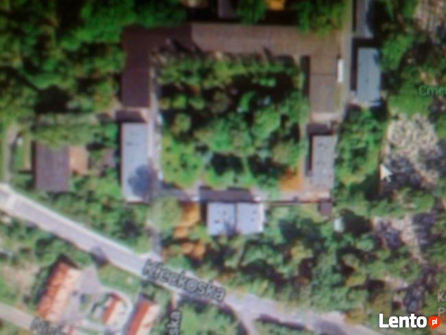 lokalizacja zagubionych/skradzionych zwierząt-wahadło radies