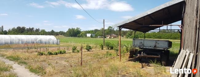 Sprzedam dom wraz z gospodarstwem