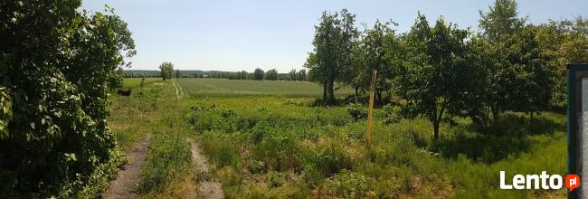 Sprzedam dom wraz z gospodarstwem