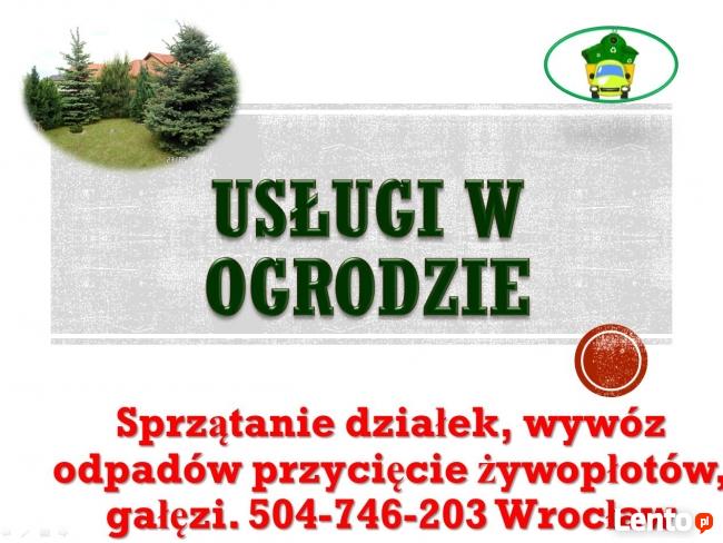 Wycinka drzewa, 504-746-203, wycinanie drzew, gałęzi, cena