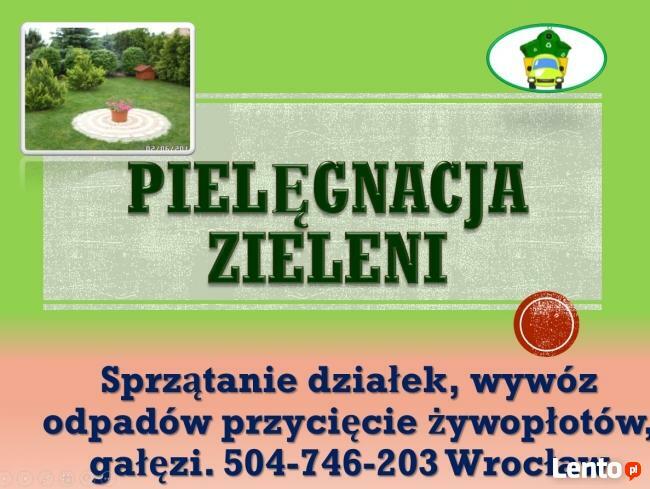 Wycinka drzewa, 504-746-203, wycinanie drzew, gałęzi, cena
