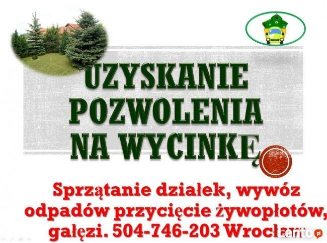 Wycinka drzewa, 504-746-203, wycinanie drzew, gałęzi, cena
