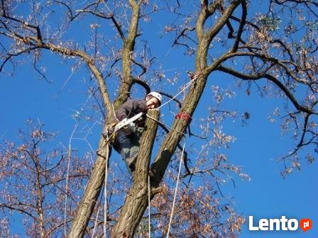 Sprzątanie posesji i konserwacja budynków - kompleksowo-Ols