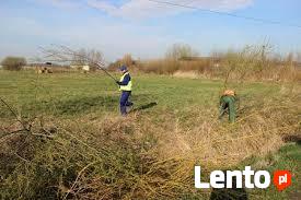 Prace porządkowe, sprzątanie terenu, wywóz odpadów -