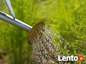 Serwis Ogrodu: Nawadnianie: montaż, modernizacja.
