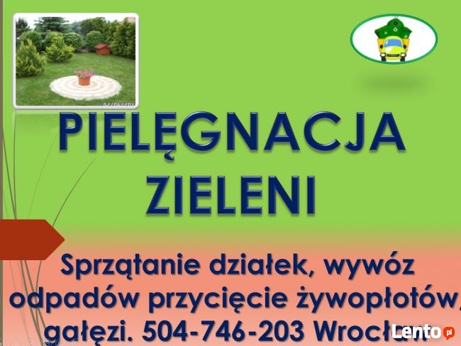 Posadzenie tui, tuje, sadzenie, tel 504-746-203, cena