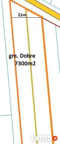 Działka+projekt, Antonina gm.Dobre, 7300m2, rolno-budowlana