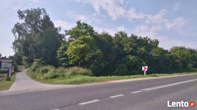 Działka rolno-budowlana Teptiuków/Hrubieszów kierunek Zosin