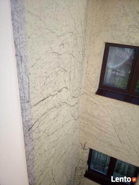 podnośnik koszowy Legnica, wynajem , zwyżka, usługi podnoś