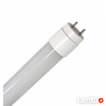 Świetlówka LED T8-60 cm 10W biała dzienna 4500K