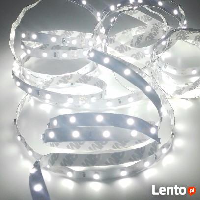 Taśma LED 300x3528 SMD wewnętrzna (IP20) biały zimny