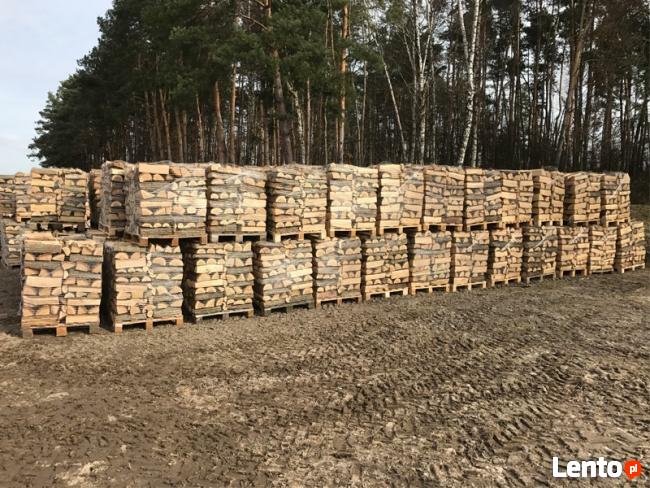 Klon Drewno Kominkowe Suche Warszawa-Piaseczno